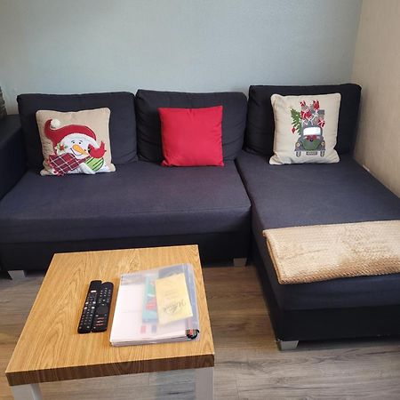Appartement Au Cigogneau Wifi-Netflix-Balcon-Parking Мюнстер Экстерьер фото