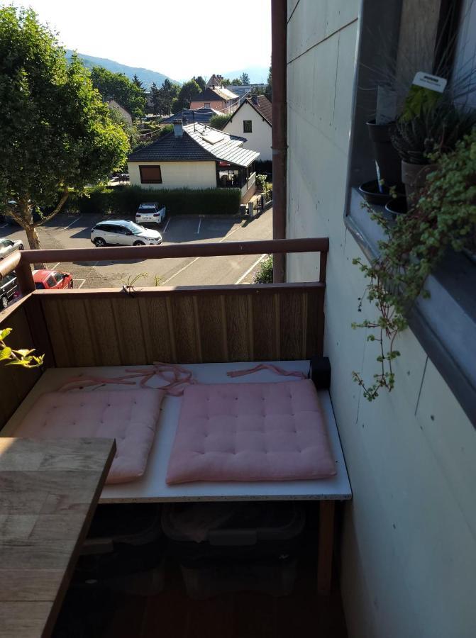 Appartement Au Cigogneau Wifi-Netflix-Balcon-Parking Мюнстер Экстерьер фото