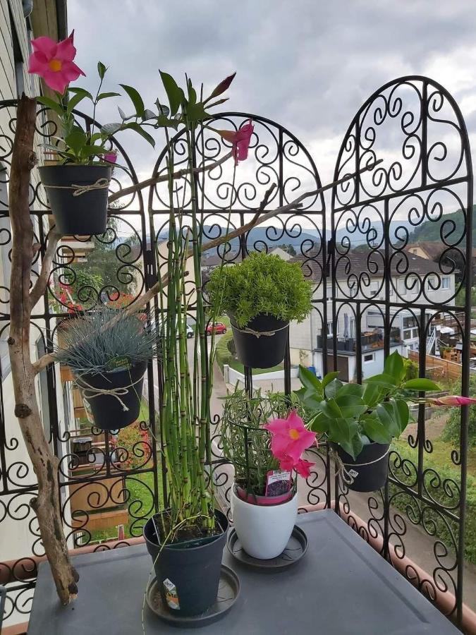 Appartement Au Cigogneau Wifi-Netflix-Balcon-Parking Мюнстер Экстерьер фото