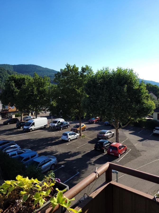 Appartement Au Cigogneau Wifi-Netflix-Balcon-Parking Мюнстер Экстерьер фото